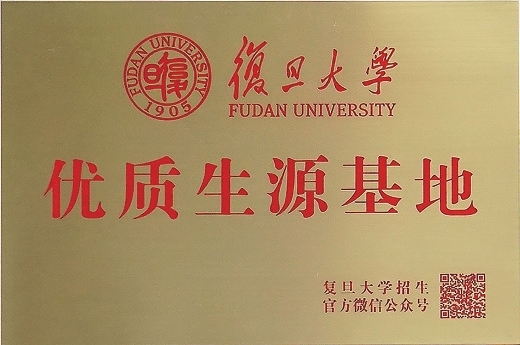 p4.jpg