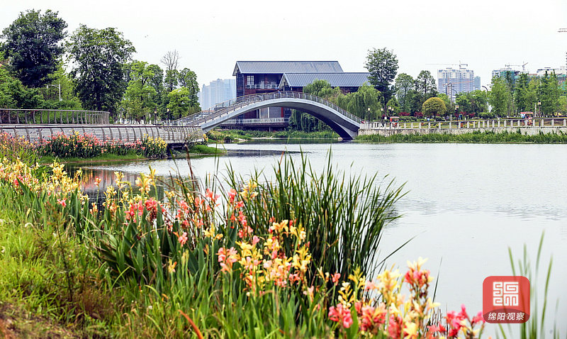 小枧生态湿地公园.jpg