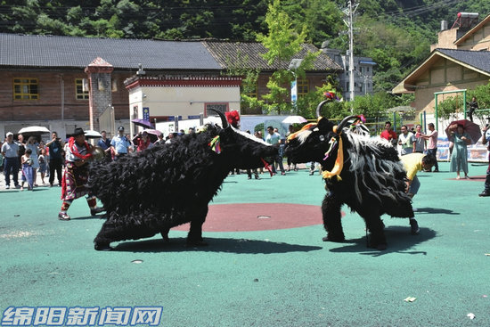 【平武】锚定目标奋力谱写高质量发展新篇章