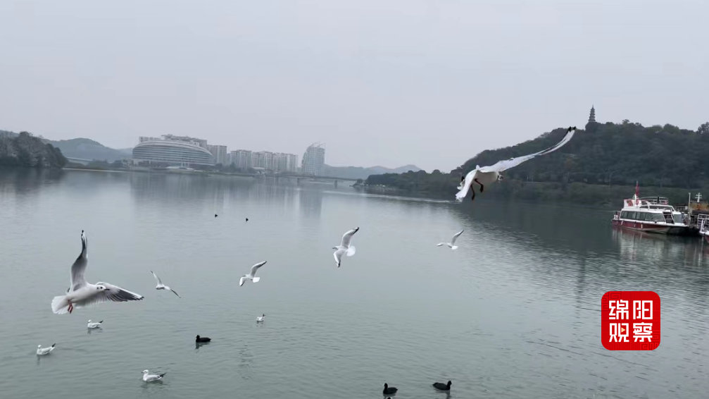QQ截图20221110191607.jpg