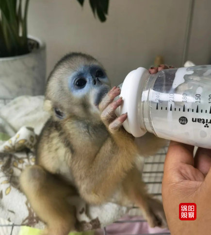 QQ截图20221221075826.jpg
