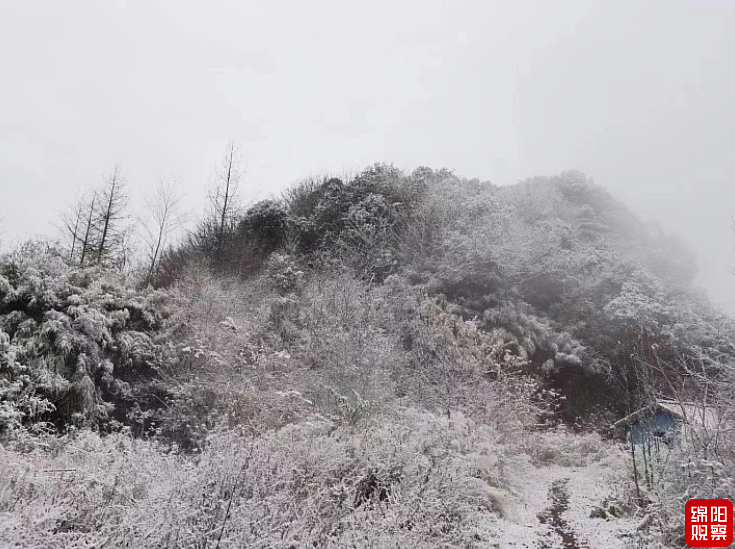 QQ截图20221226105617.png