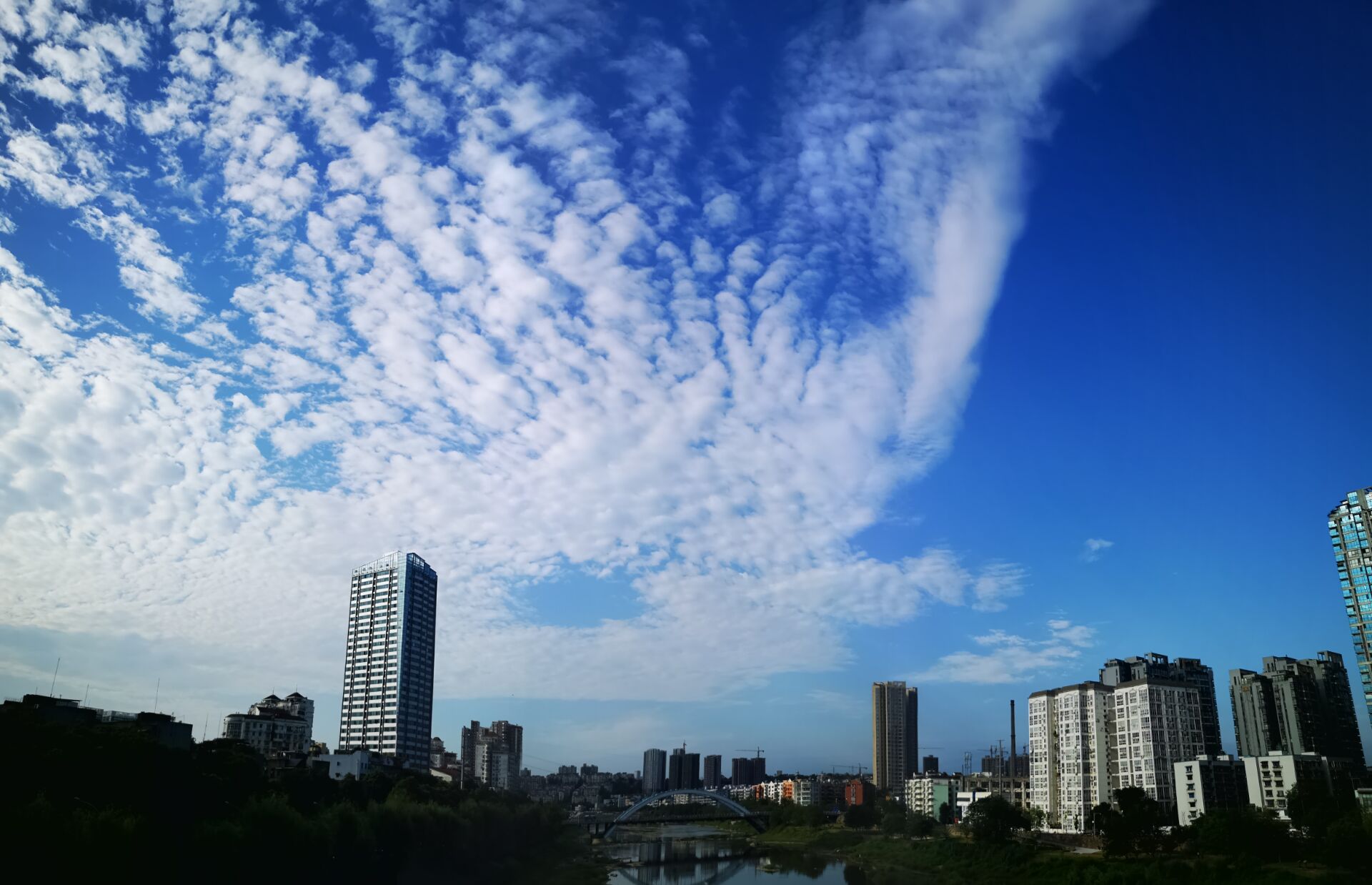 方纯英.jpg