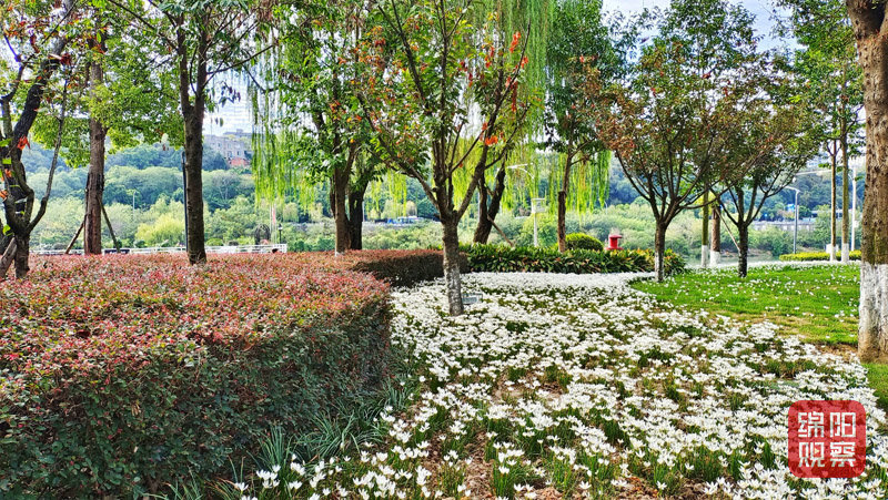 陈登鹏.jpg