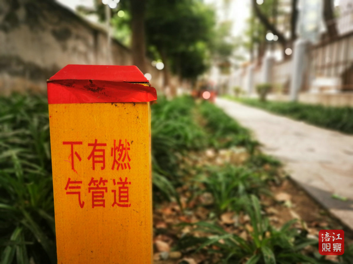 燃气管网集中改造4_1.jpg