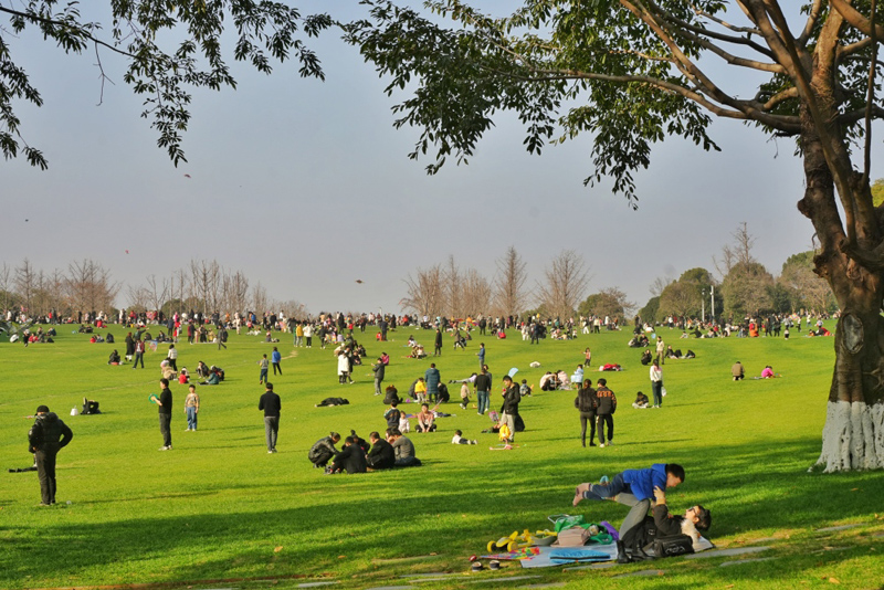 重庆中央公园，市民在草坪上晒太阳、放风筝。重庆日报.jpg