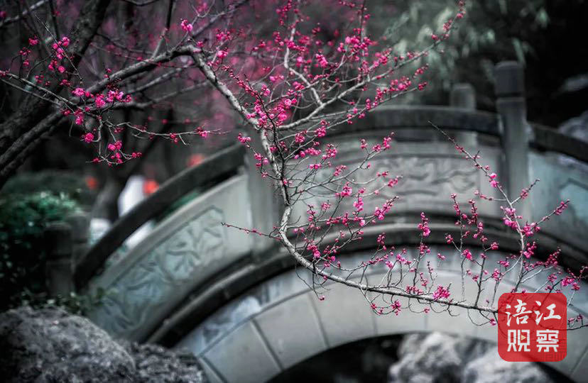 绵阳3_1.jpg