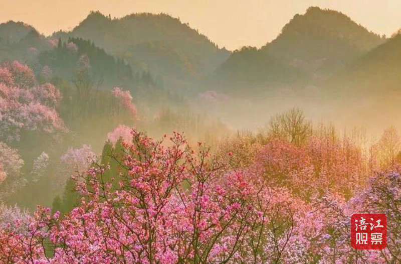 江油吴家后山2 张大明.jpg