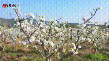 QQ视频20230315123104 (1).gif