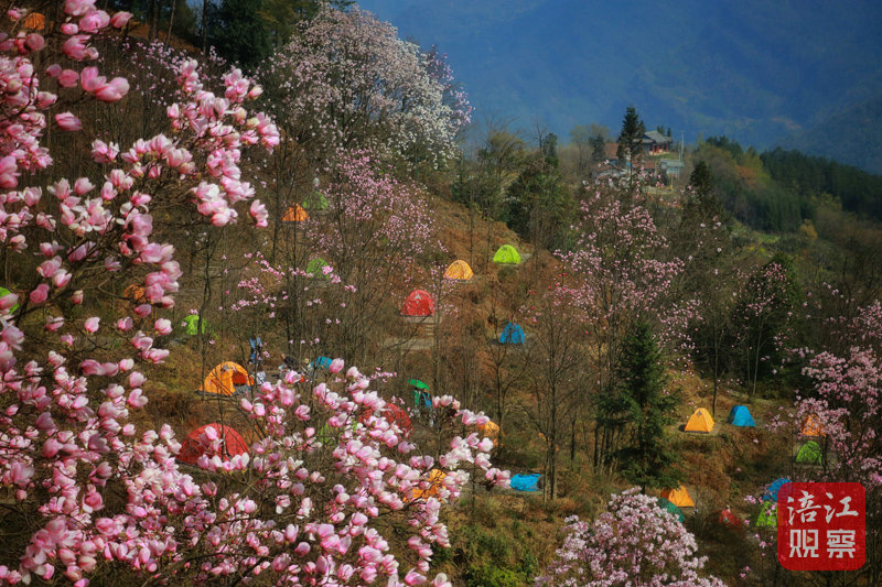 花溪景 谢江平.jpg