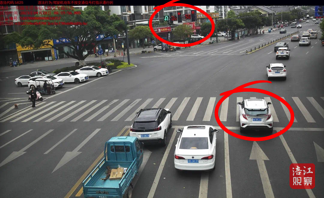 闯红灯1_1.png