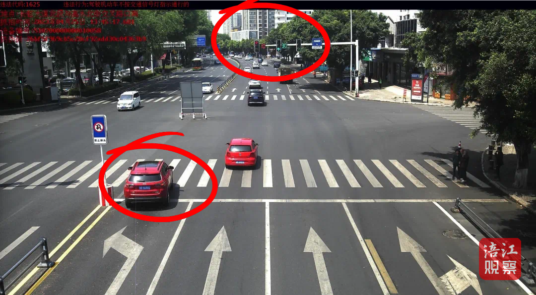闯红灯4_1.png