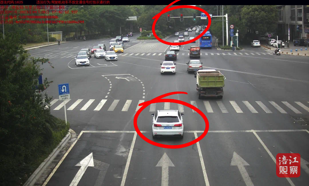 闯红灯5_1.png