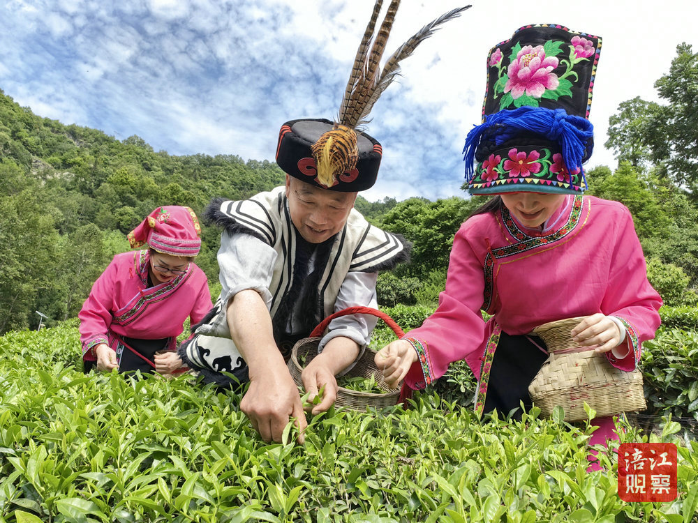 平武豆叩赵再义1_1.jpg