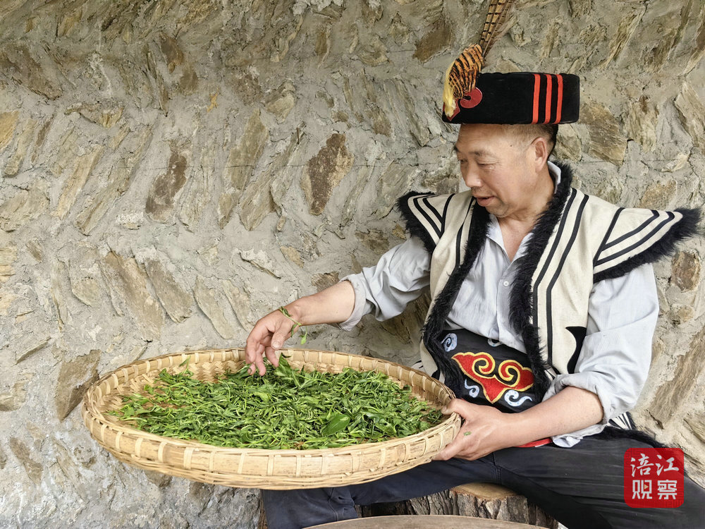 平武豆叩赵再义2_1.jpg