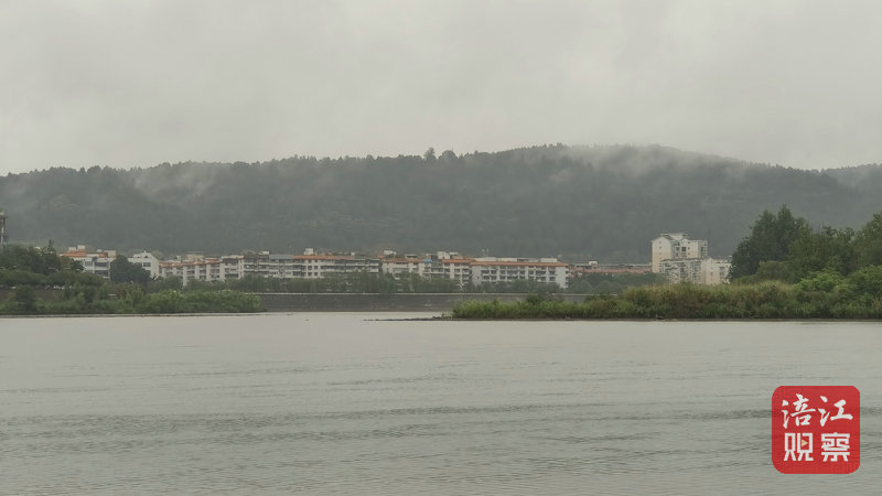 杨定端.jpg