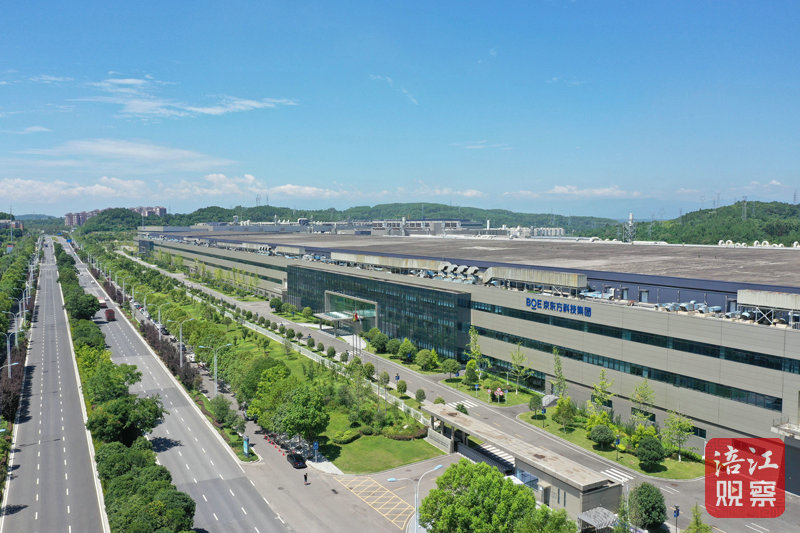 京东方 陈冬冬.jpg