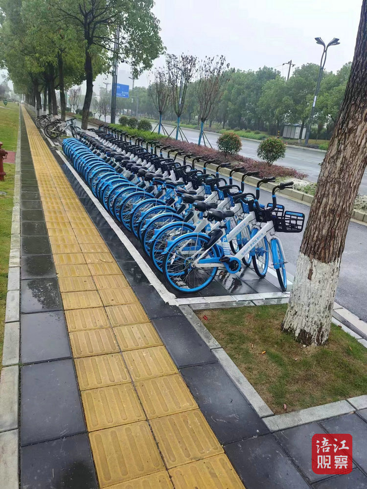 共享单车1_1.jpg