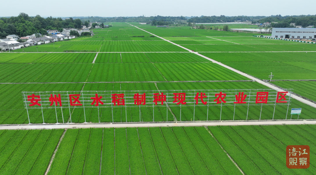 QQ截图20230906183327.jpg
