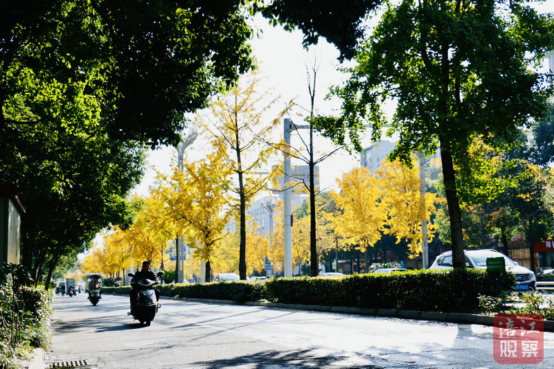 东津路.jpg