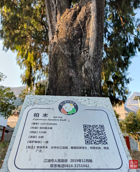 QQ截图20240128191811.png