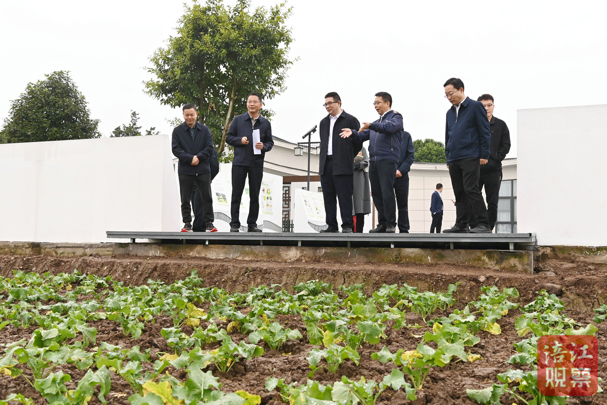 2024年11月10日，李云赴安州调研学习运用“千万工程”经验4  张莉 摄.jpg