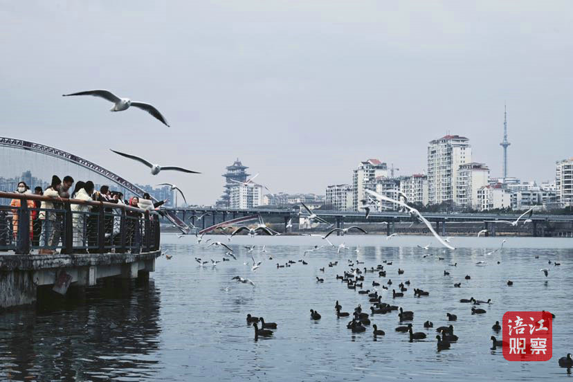 绵阳文旅17_1.jpg