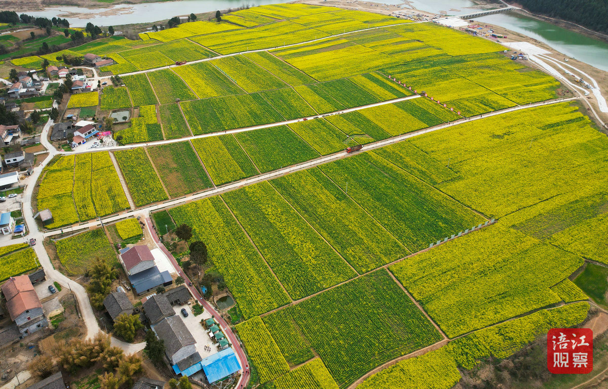 玛瑙鸭鹤岩油菜花节 1_1.jpg