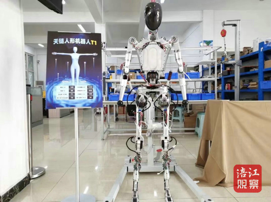 人形机器人1_1.jpg