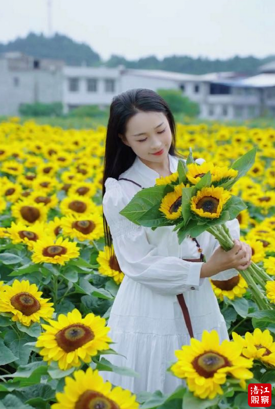 QQ截图20240612151329.png