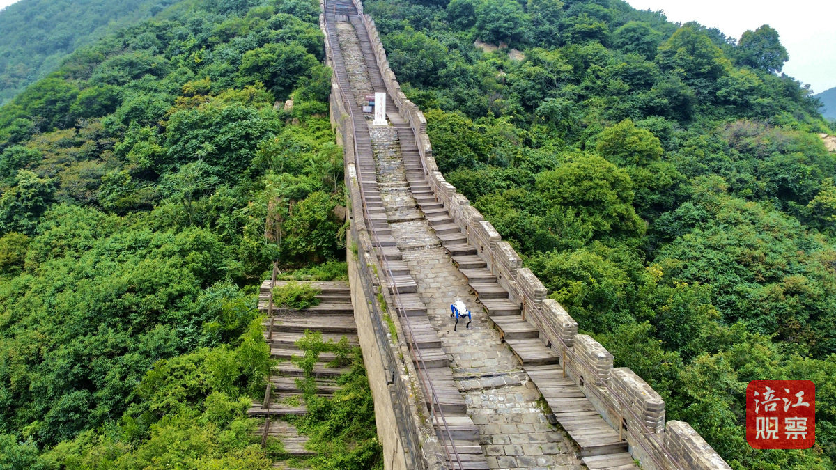 “绵阳造”机器人亮相2024世界机器人大会1_1.jpg
