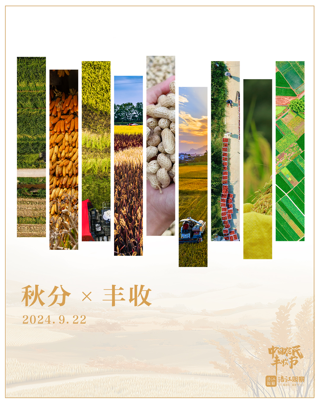 未标题-1.jpg