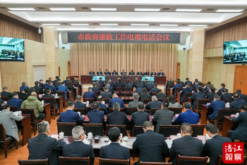 20250228召开市政府廉政工作电视电话会议.jpg
