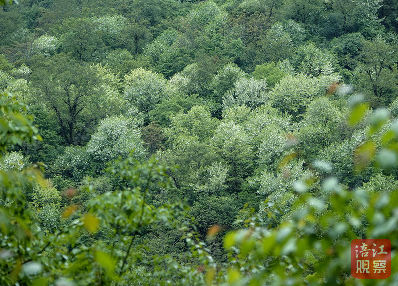 W020250421572764679371.jpg