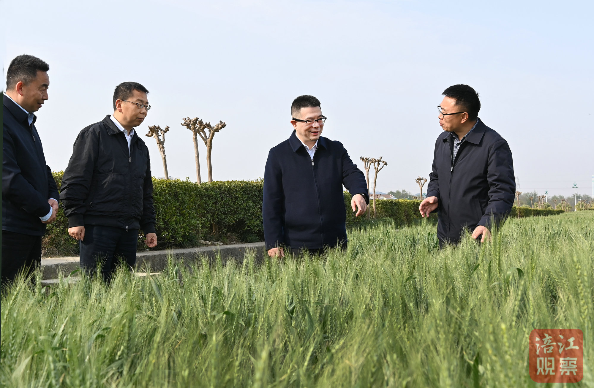 2025年4月3日，李云在农科院调研农业农村工作2   张莉 摄.jpg