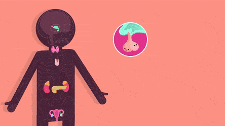 d3.gif
